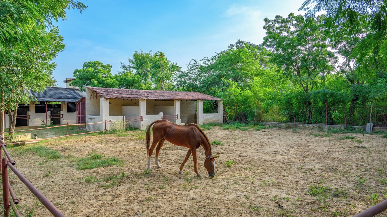Photo of Outdoor in Jaipur