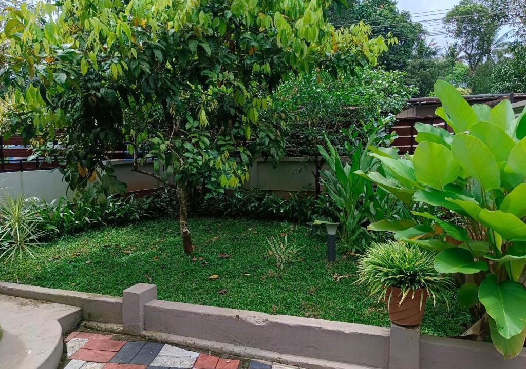 Photo of Outdoor in Devikolam
