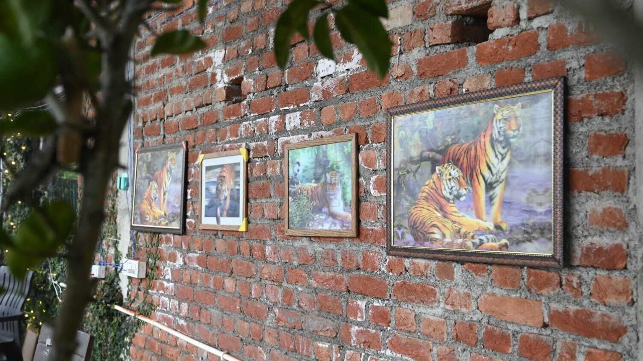 Photo of Others in Kaul