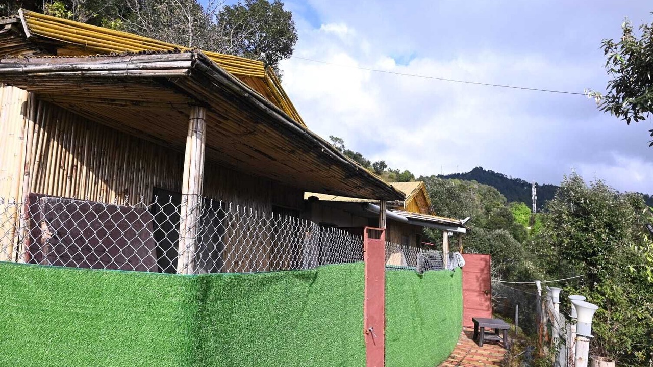 Photo of Outdoor in Kaul