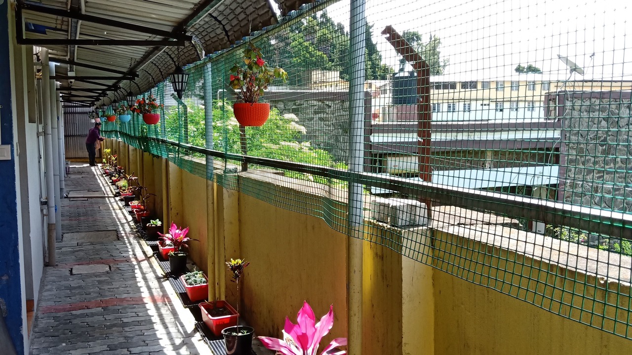 Photo of Outdoor in Kodaikanal