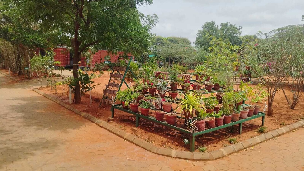 Photo of Outdoor in Tirupur