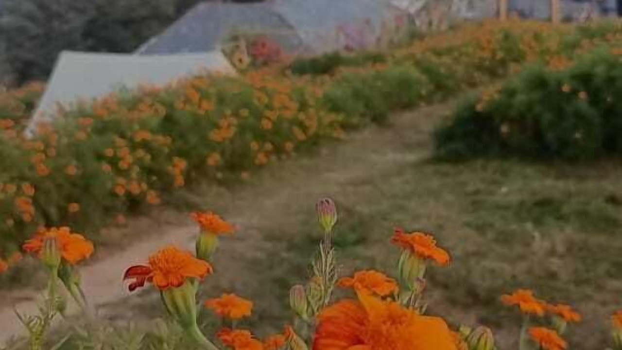 Photo of Outdoor in Dalhousie
