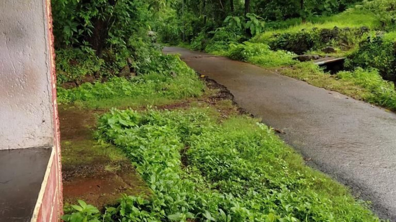 Photo of Outdoor in Dapoli