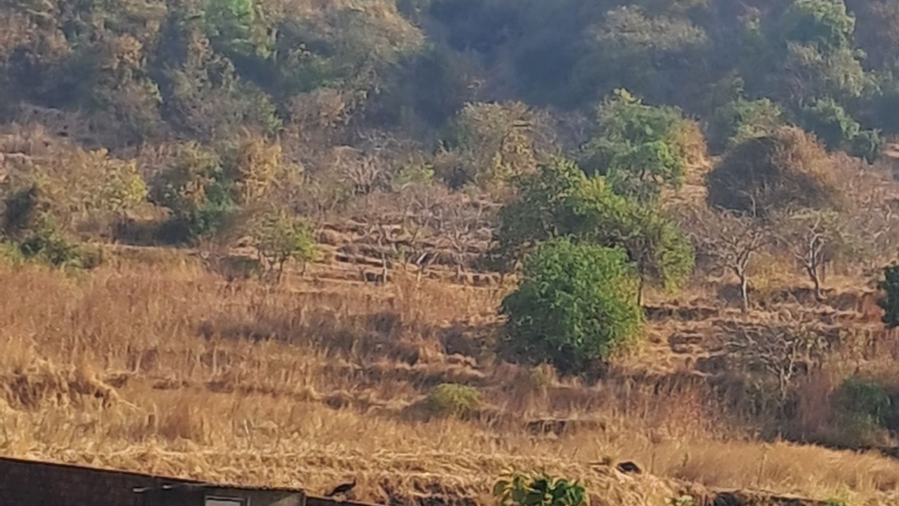 Photo of Outdoor in Mhsala