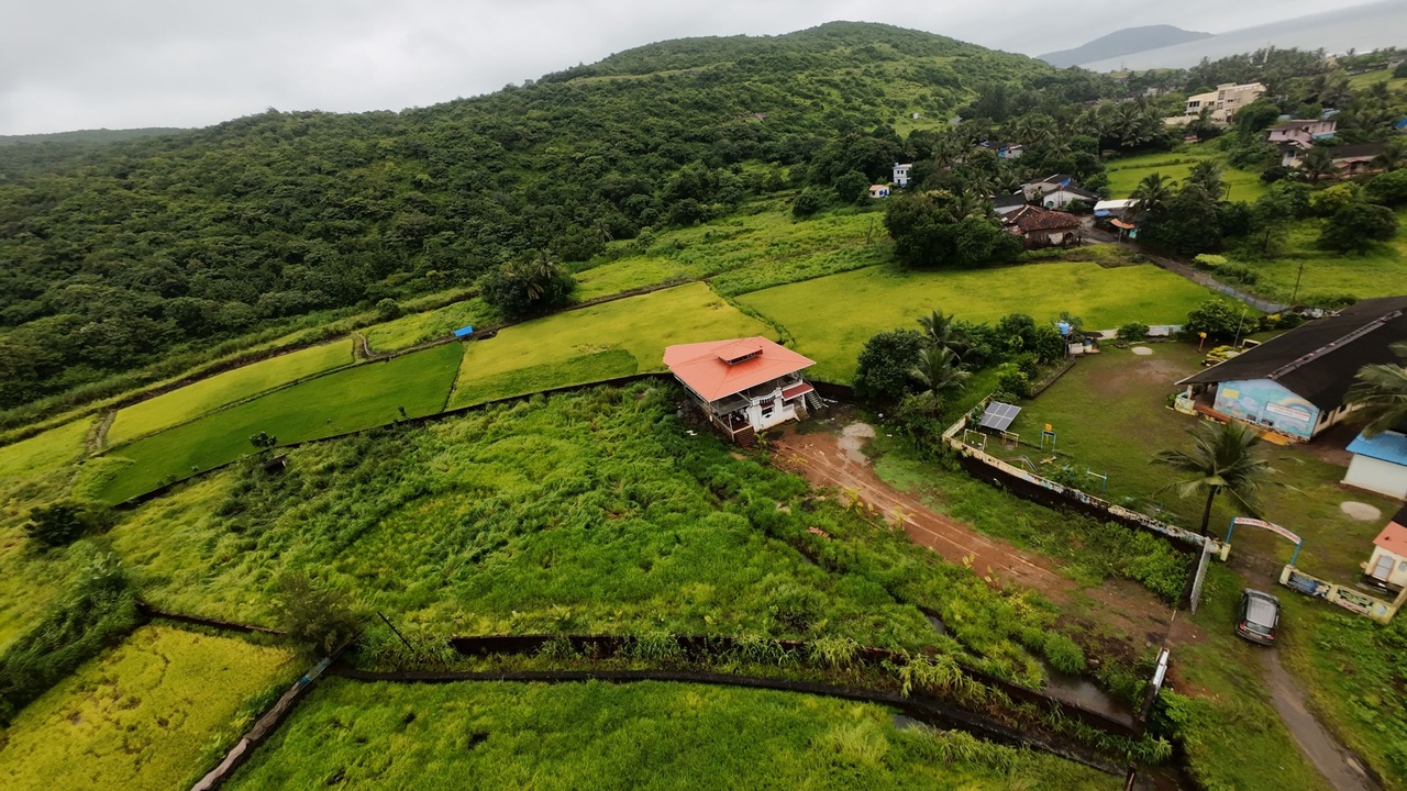 Photo of Outdoor in Mhsala