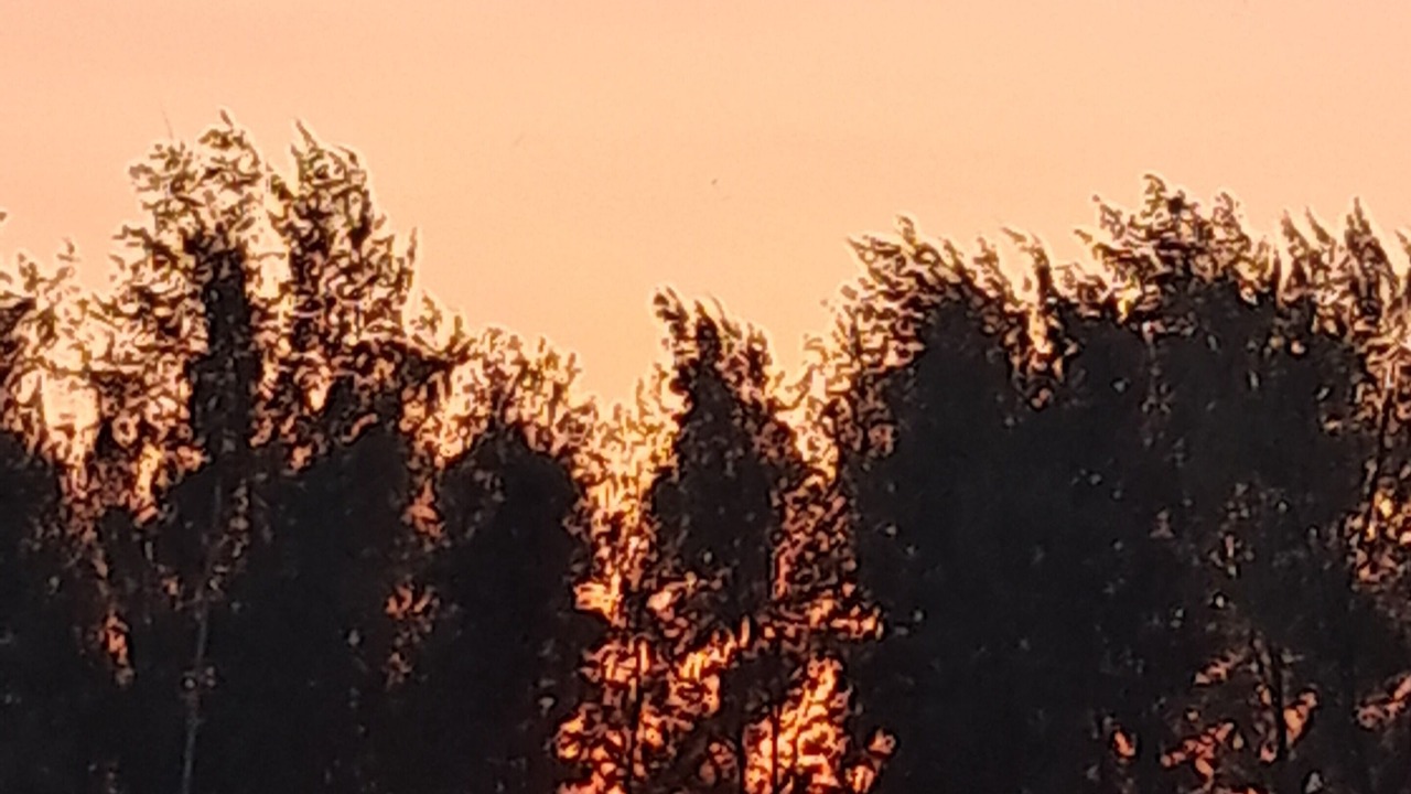 Photo of Outdoor in Mhsala