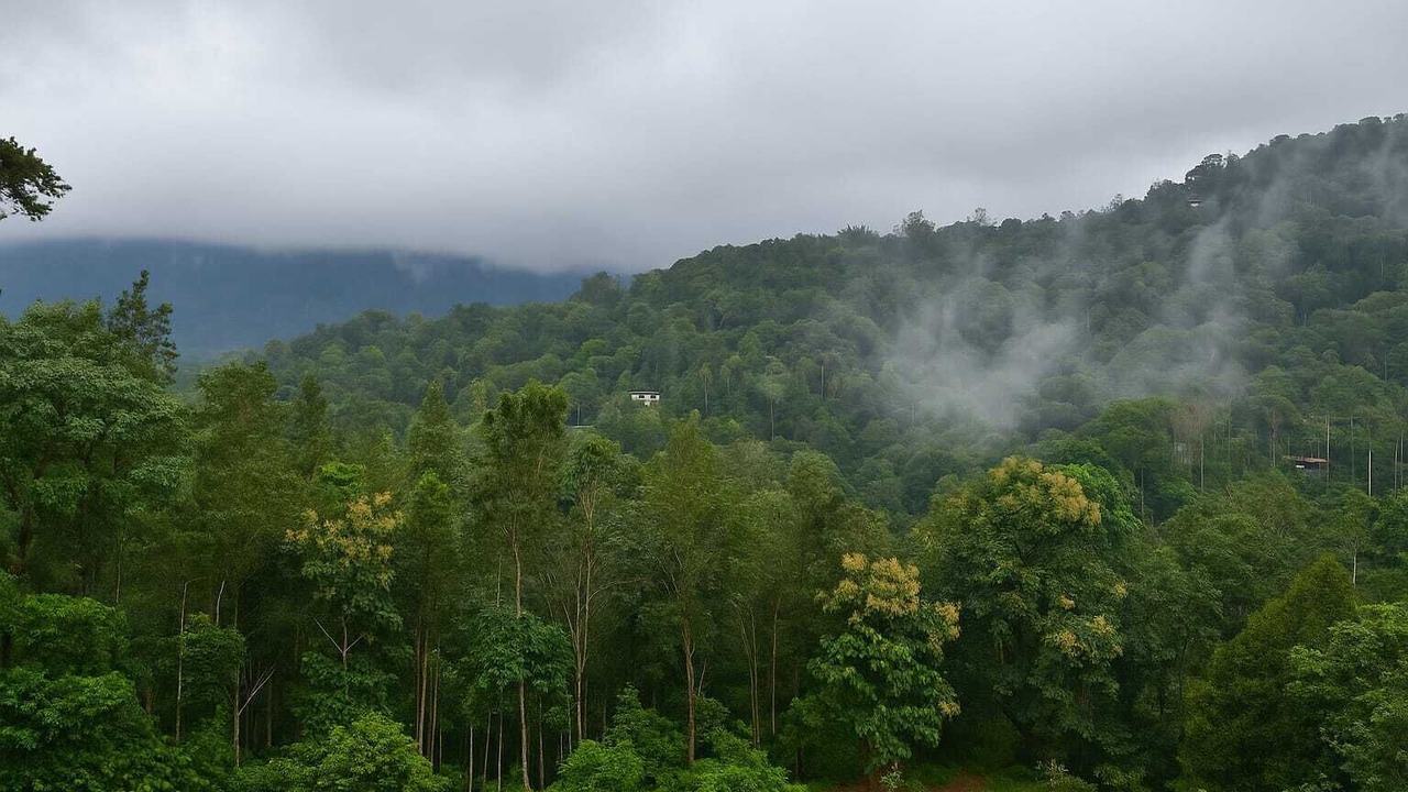 Photo of Outdoor in Devikolam