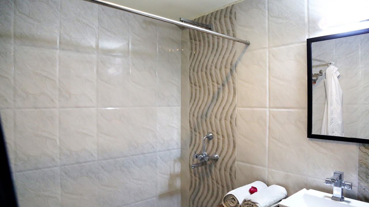 Photo of Bathroom in Udaipur City Centre