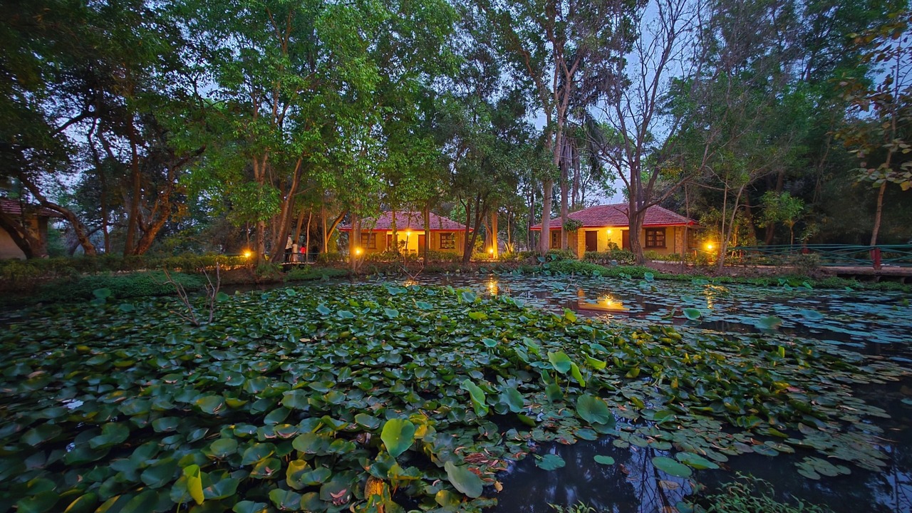 Photo of Outdoor in Tala