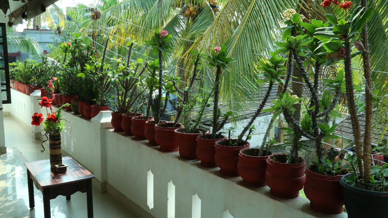 Photo of Patio Balcony in Fort Kochi