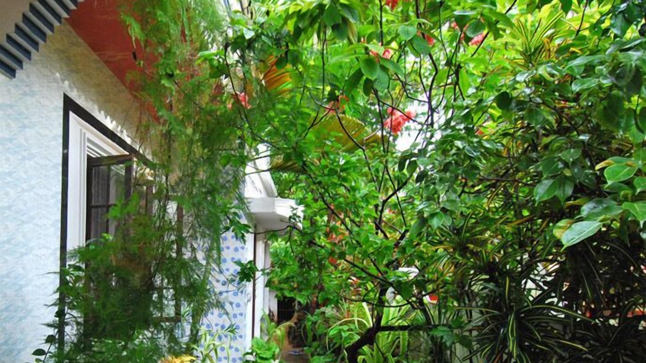 Photo of Outdoor in Fort Kochi