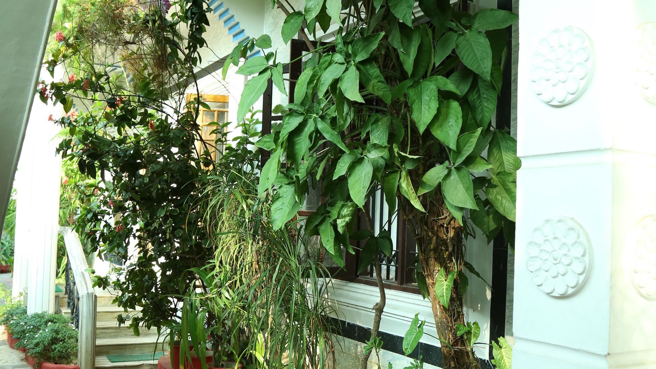 Photo of Outdoor in Fort Kochi