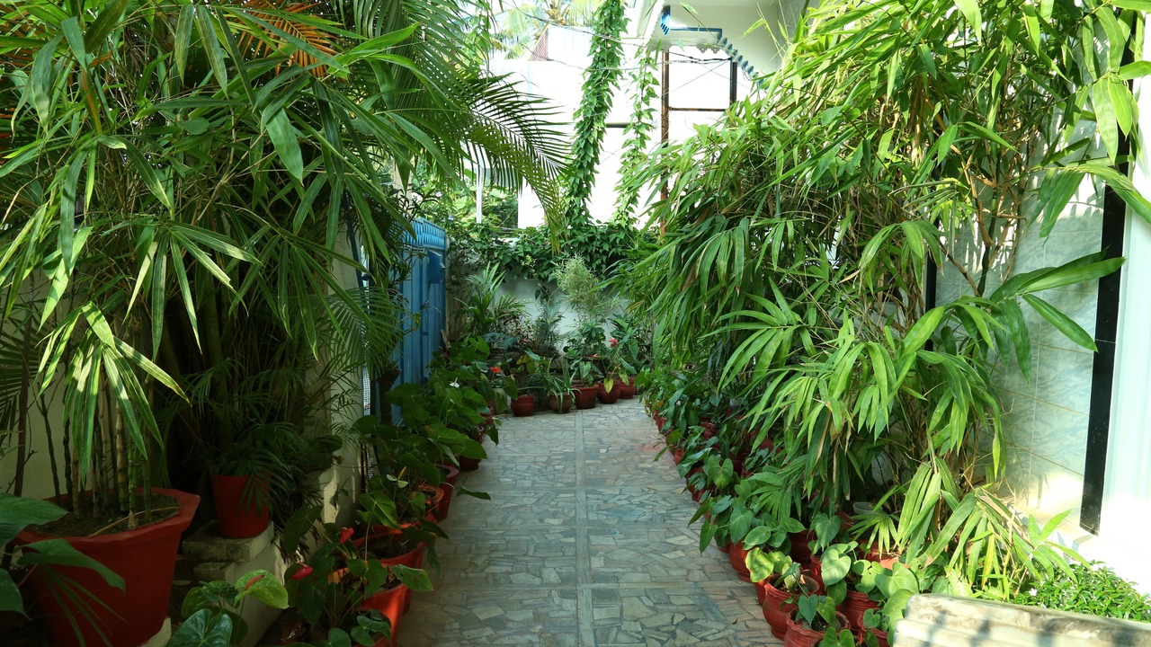 Photo of Outdoor in Fort Kochi