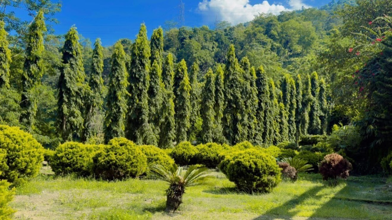 Photo of Others in Darjeeling
