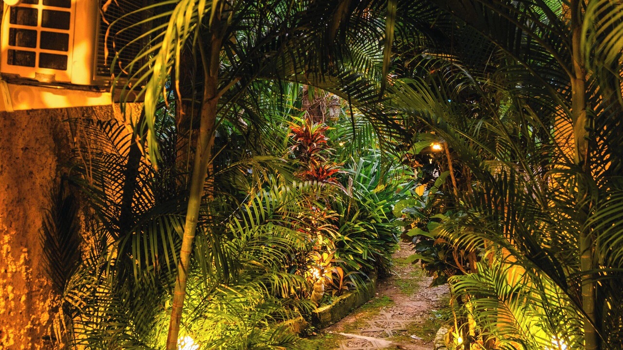 Photo of Outdoor in Agonda