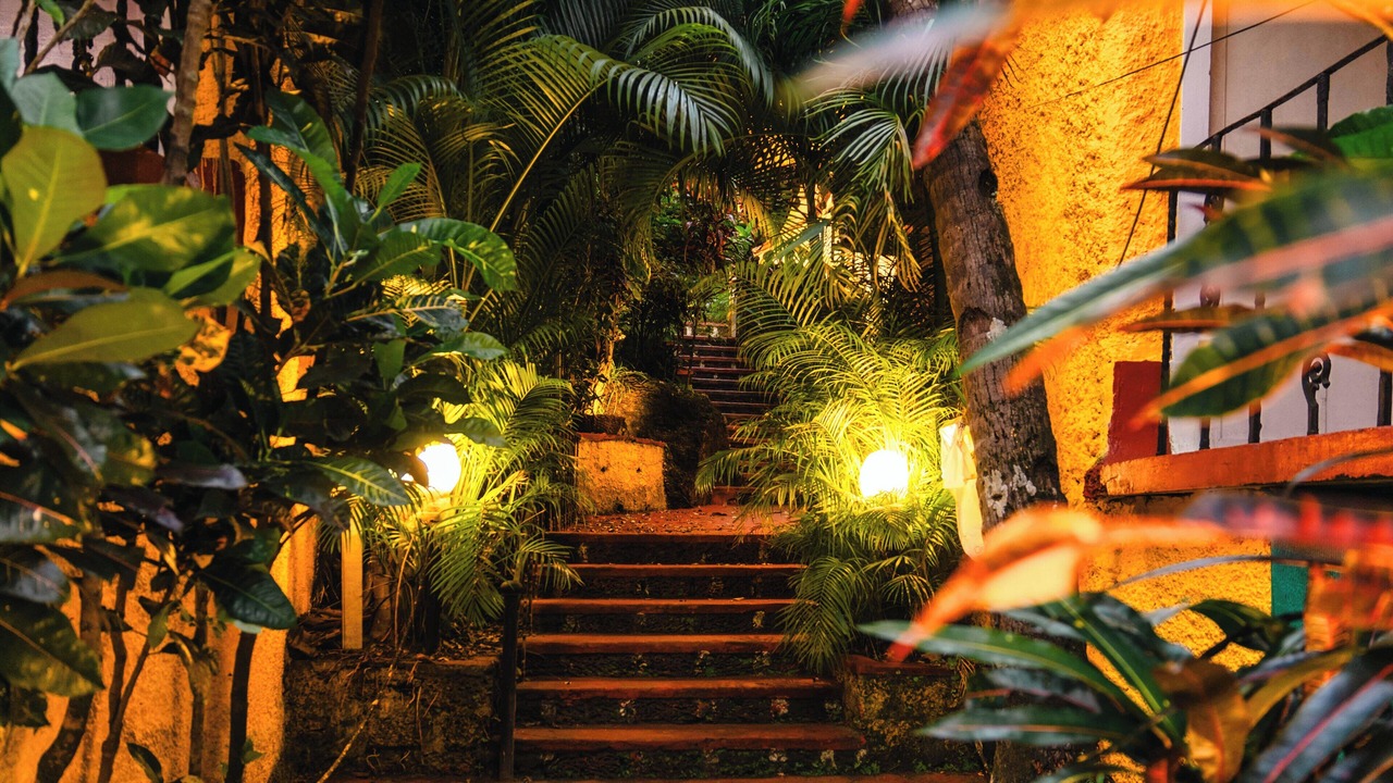 Photo of Outdoor in Agonda