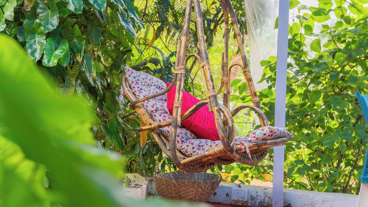 Photo of Outdoor in Agonda