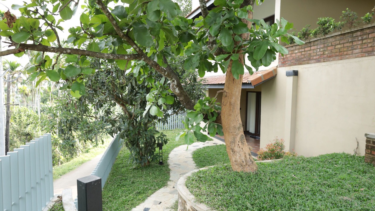 Photo of Outdoor in Meppadi