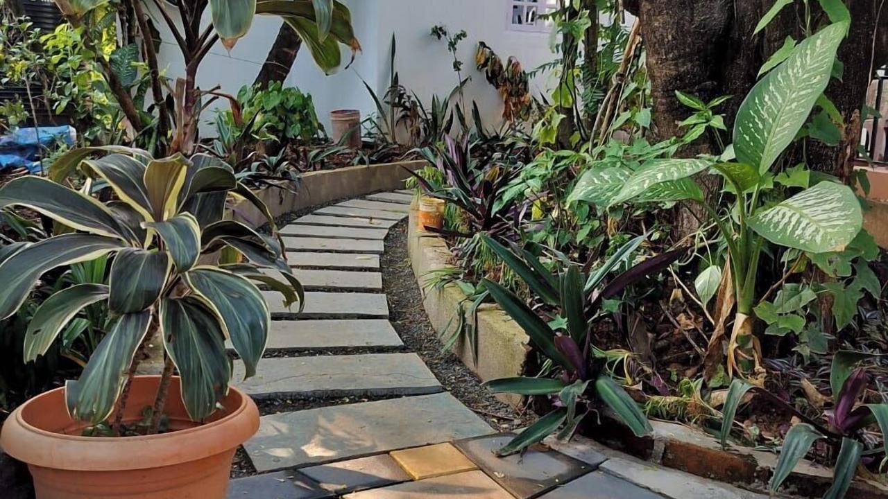 Photo of Outdoor in Mazal Waddo