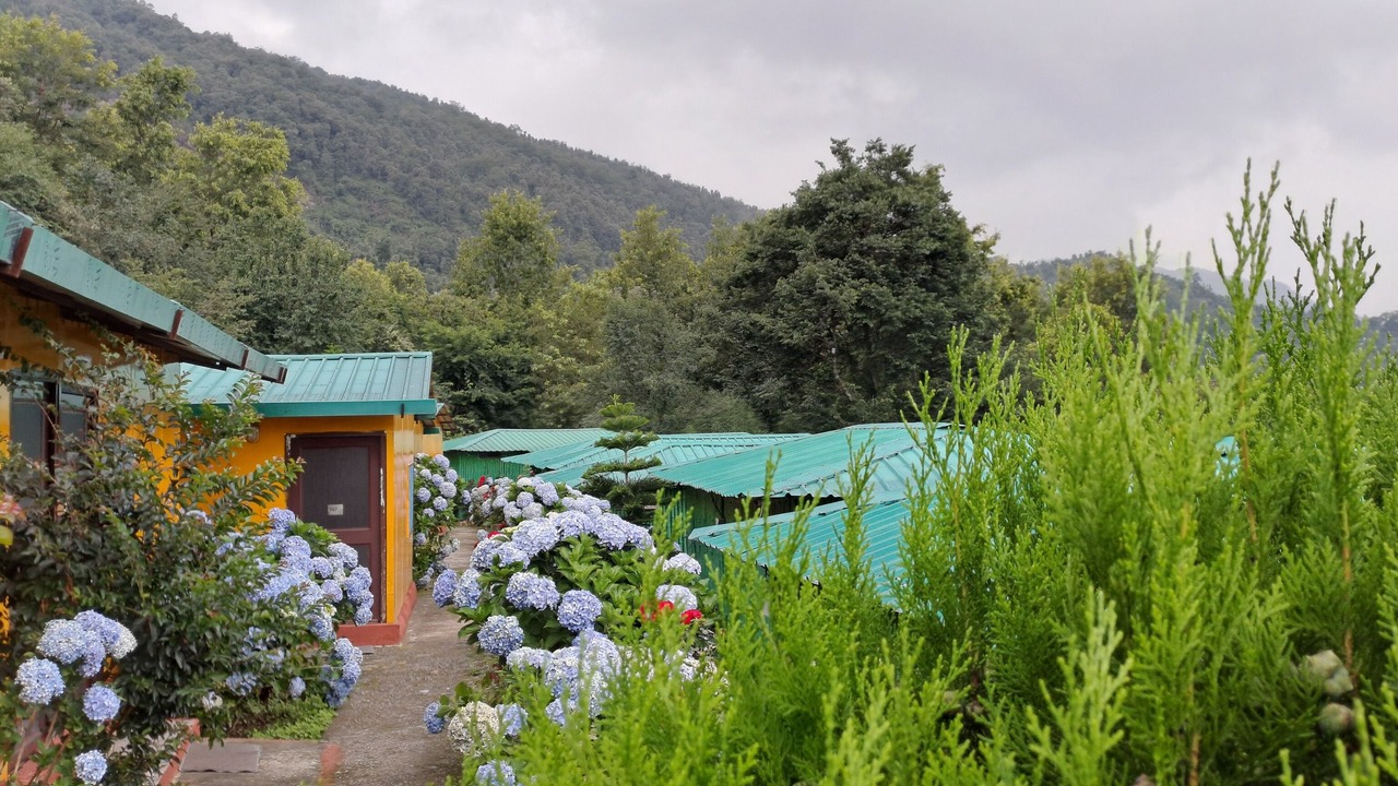 Photo of Outdoor in Narainkoti