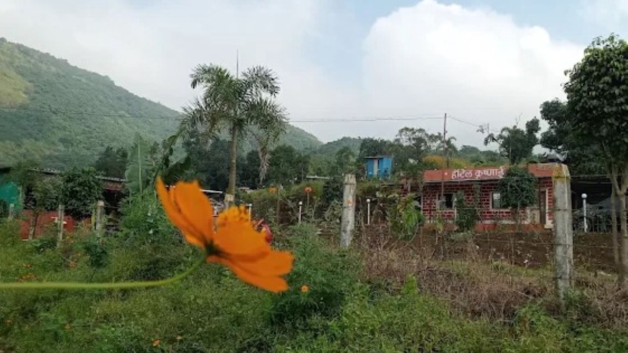 Photo of Others in Kadadhe