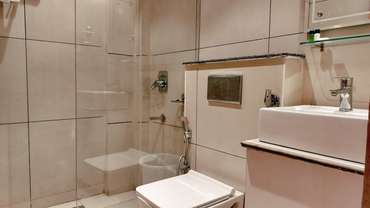 Photo of Bathroom in Bhagsu Nag