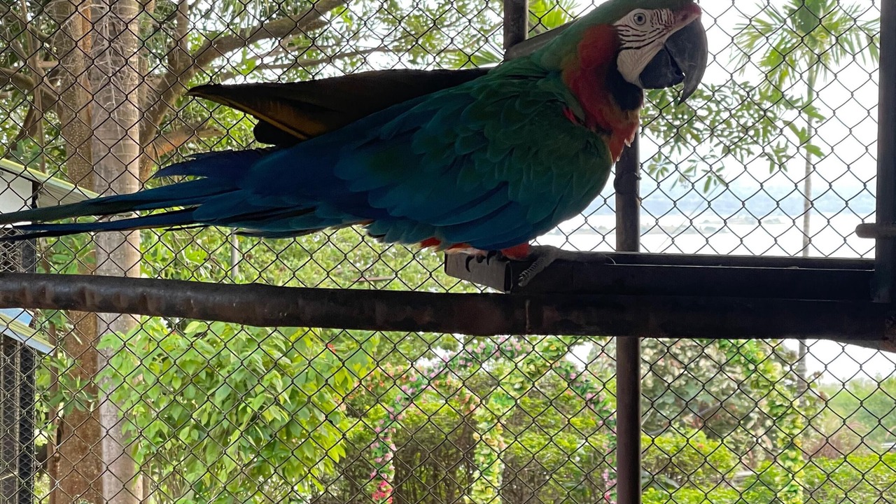 Photo of Outdoor in Igatpuri