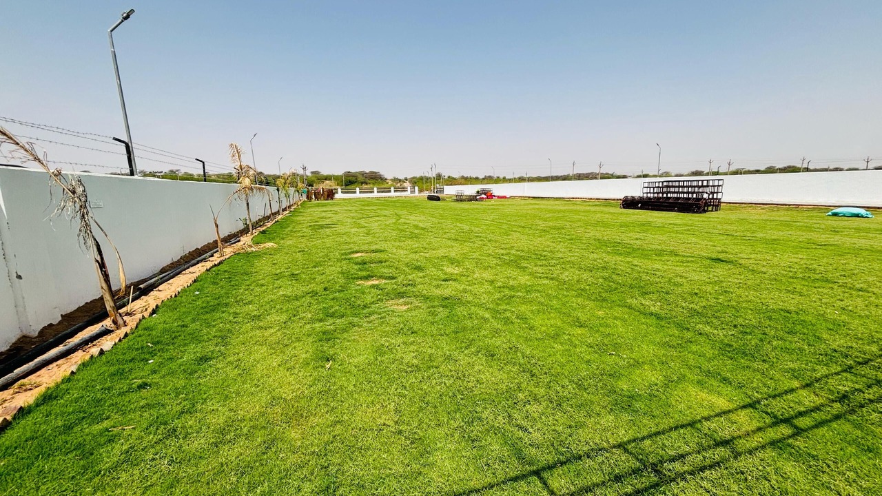 Photo of Outdoor in Phalodi