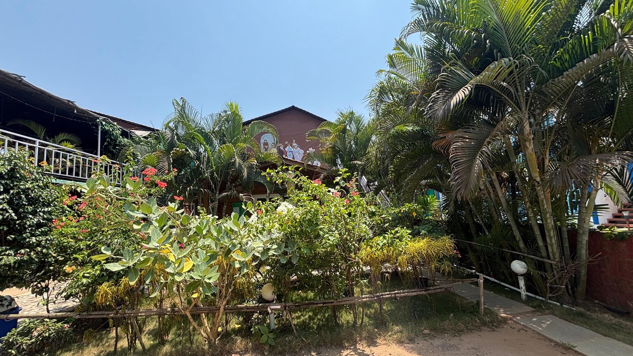 Photo of Outdoor in Arambol