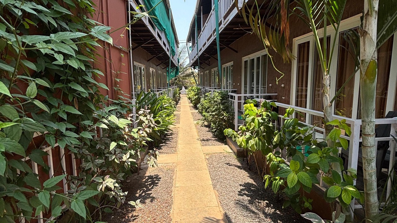 Photo of Outdoor in Arambol