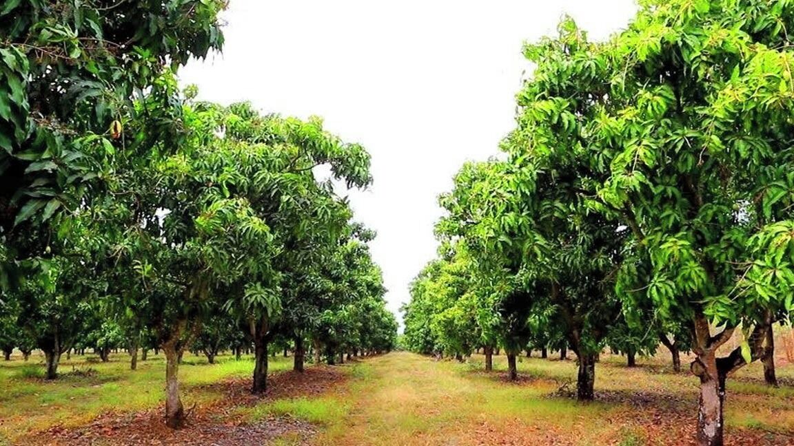 Photo of Outdoor in Shahapur