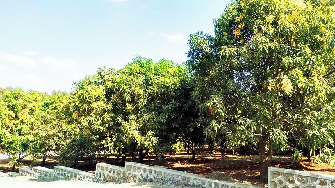 Photo of Outdoor in Shahapur