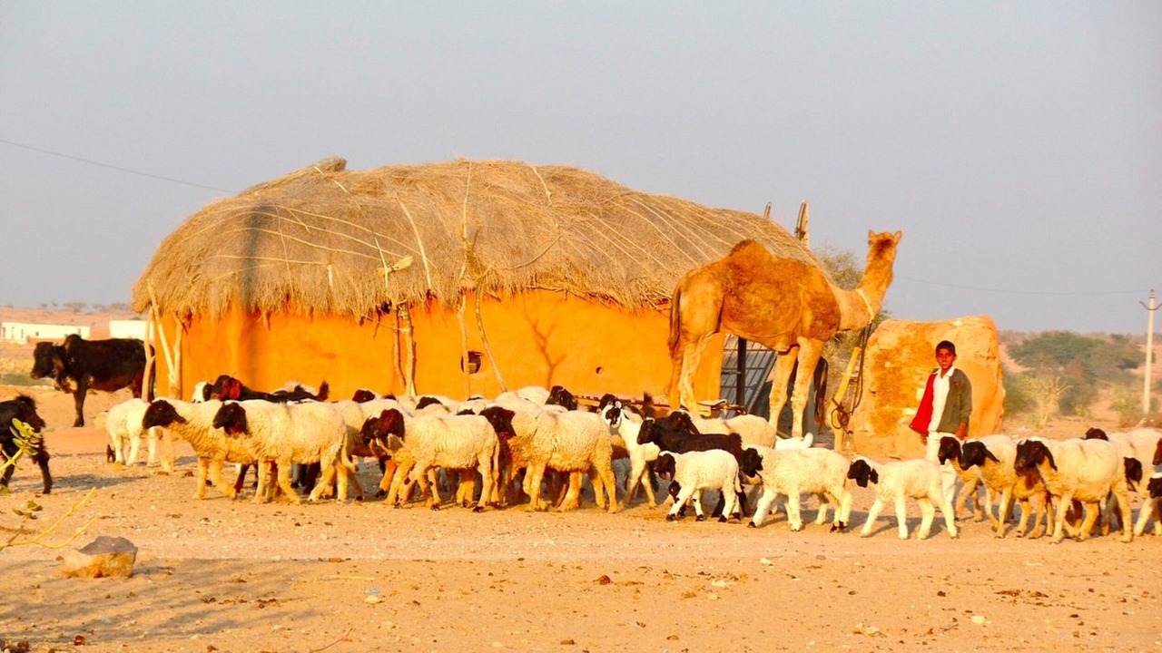 Photo of Outdoor in Kanoi