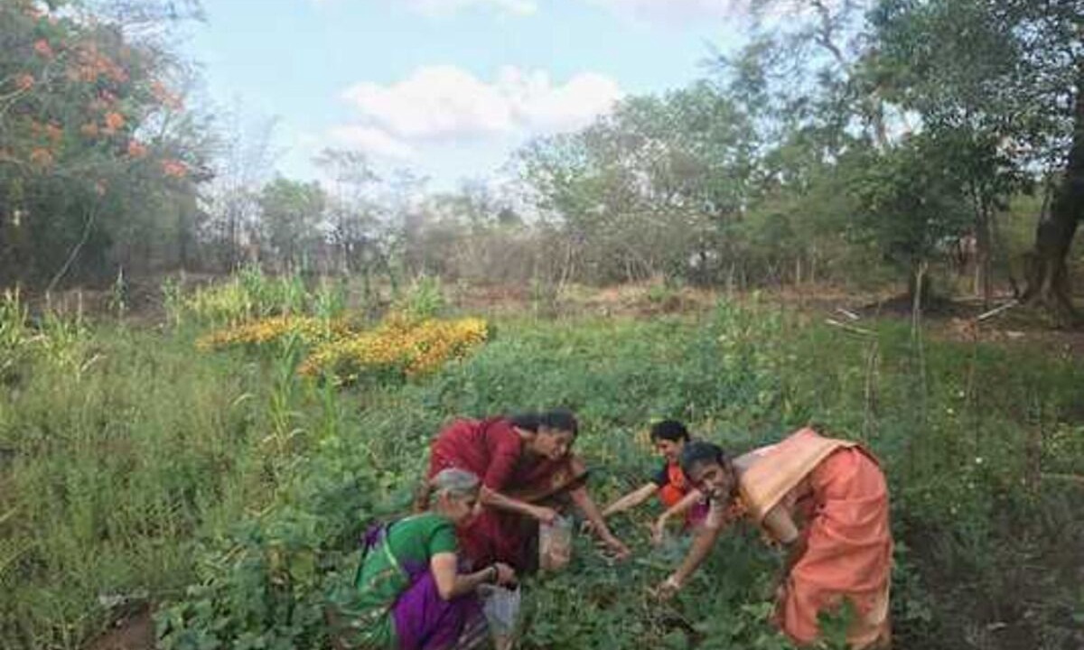 Photo of Others in Wadgaon