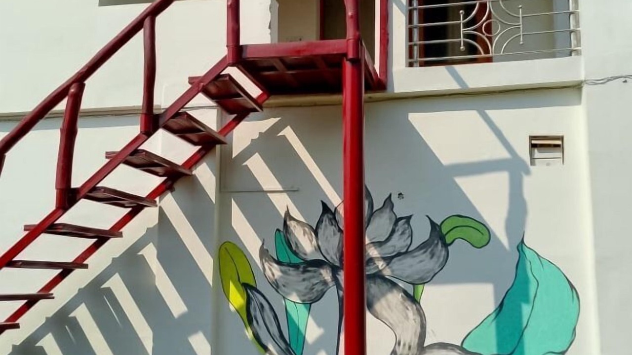 Photo of Patio Balcony in Palia