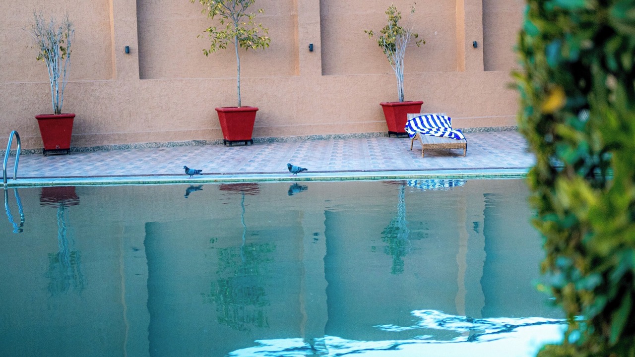 Photo of Outdoor in Nathdwara