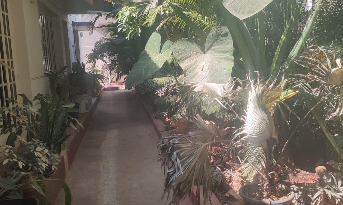 Photo of Outdoor in Bengaluru