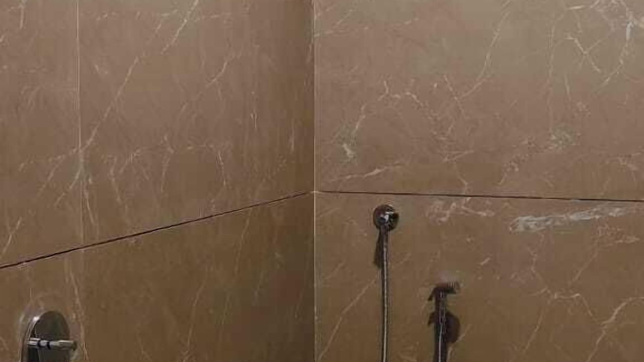 Photo of Bathroom in Begun