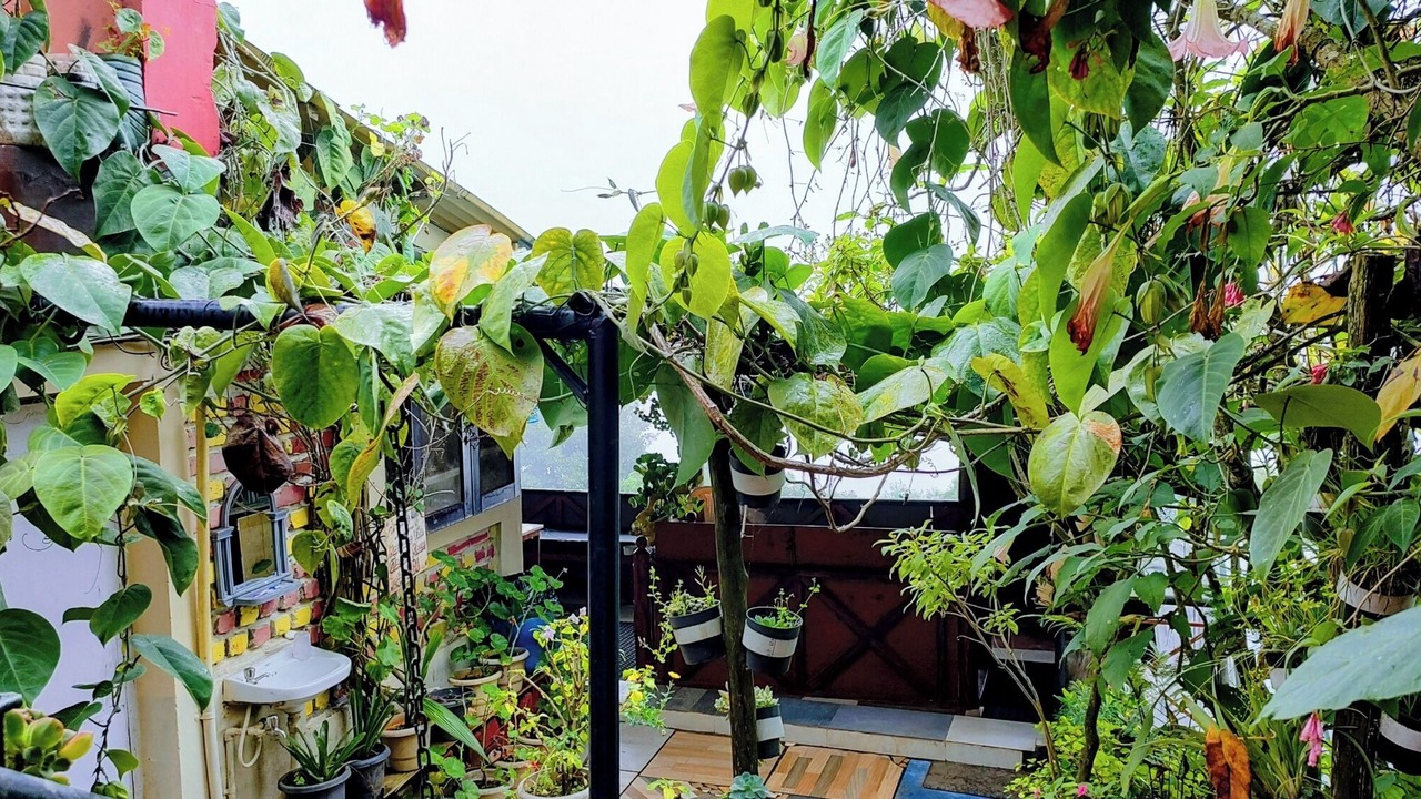 Photo of Outdoor in Vattakanal