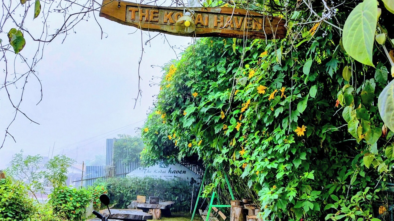 Photo of Outdoor in Vattakanal