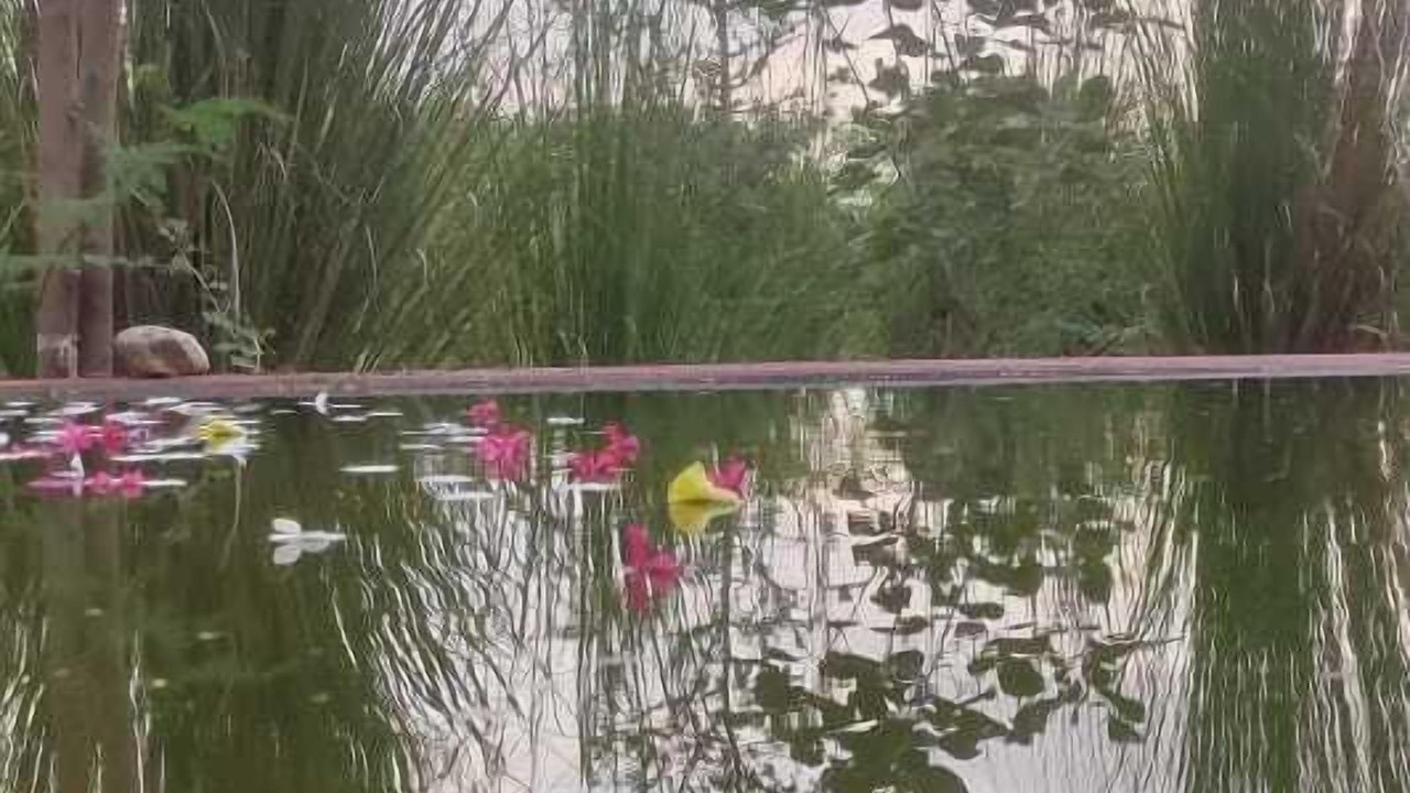 Photo of Outdoor in Bali