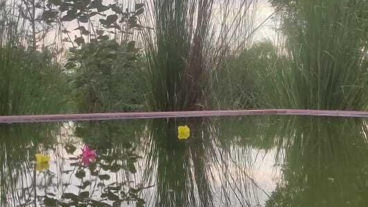 Photo of Outdoor in Bali