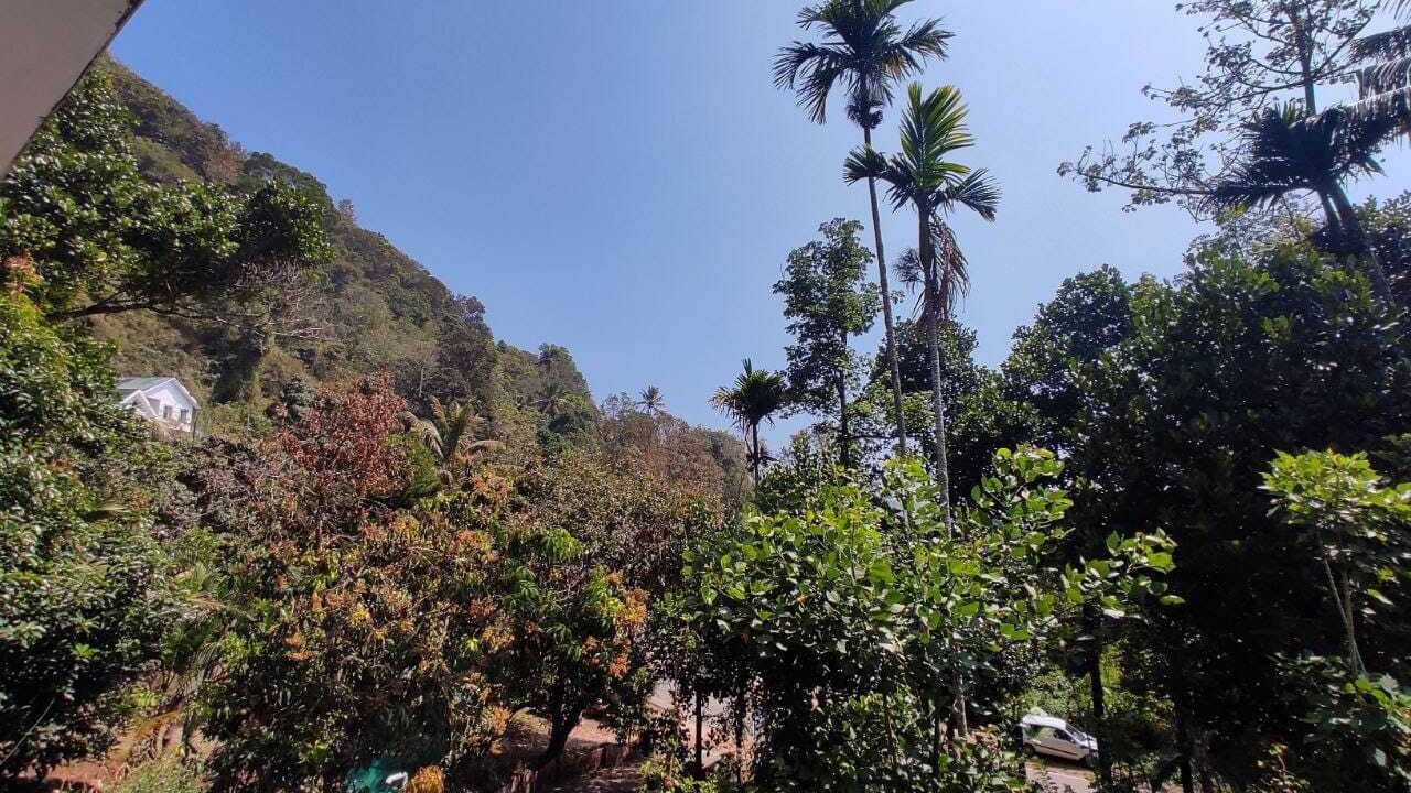 Photo of Outdoor in Devikolam