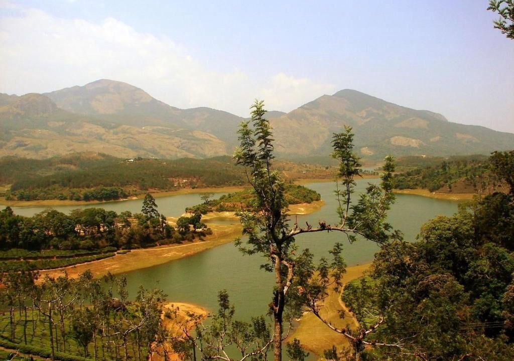 Photo of Others in Munnar