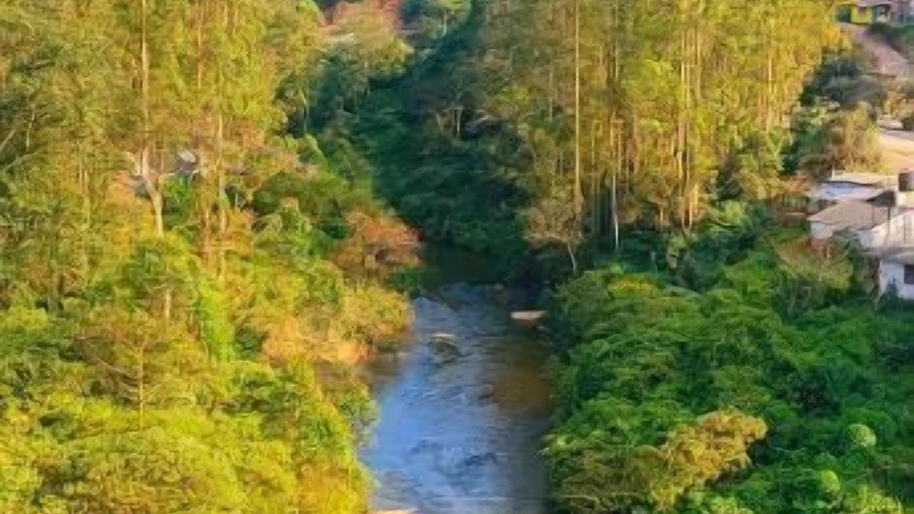 Photo of Others in Munnar