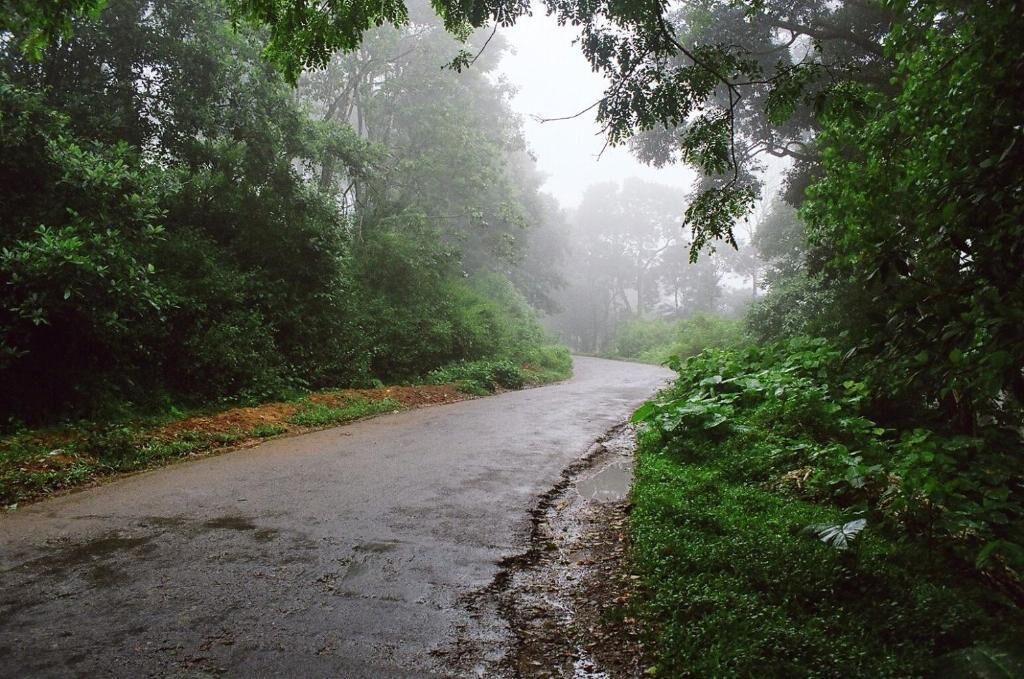 Photo of Others in Munnar