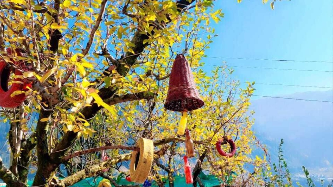 Photo of Outdoor in Simsa Village