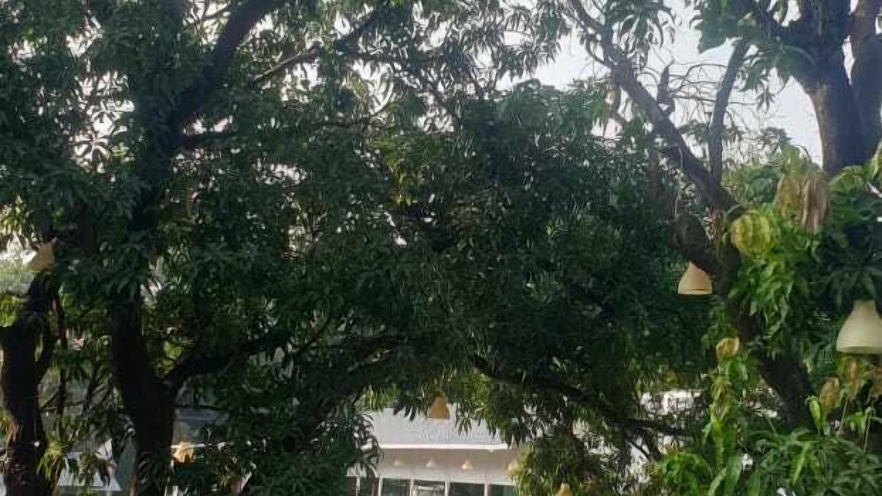 Photo of Outdoor in Alibaug