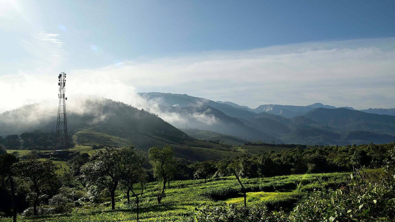Photo of Others in Valparai